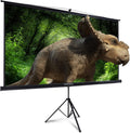 100 Inch Portable Projector Screen with Stand D594828