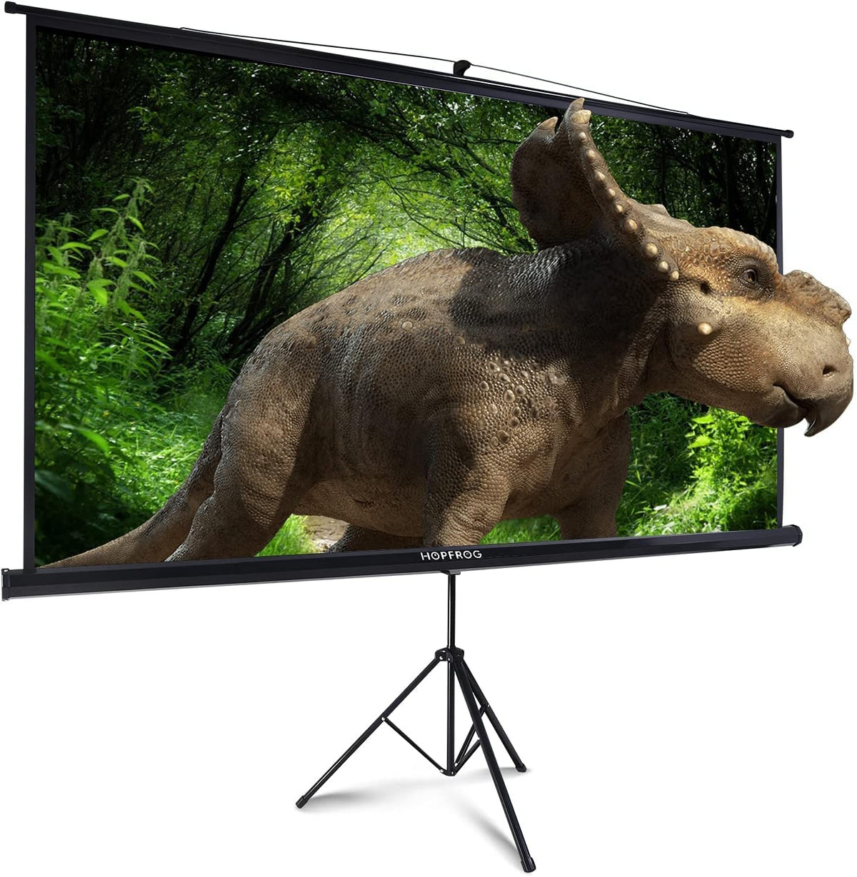 100 Inch Portable Projector Screen with Stand D594828