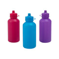 12 Ct BPA-Free Plastic Water Bottles N23507