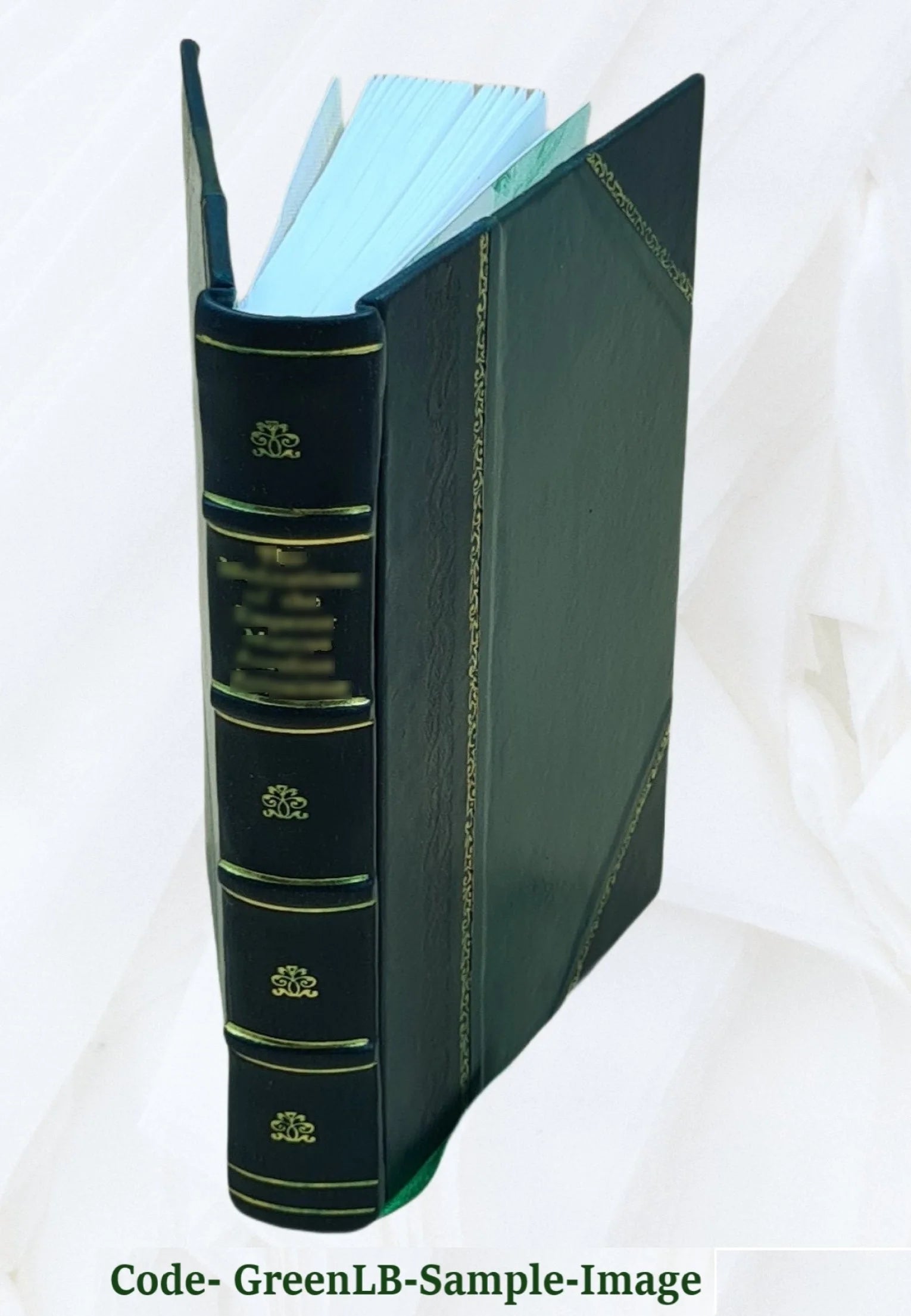 Leather Bound Book V86815