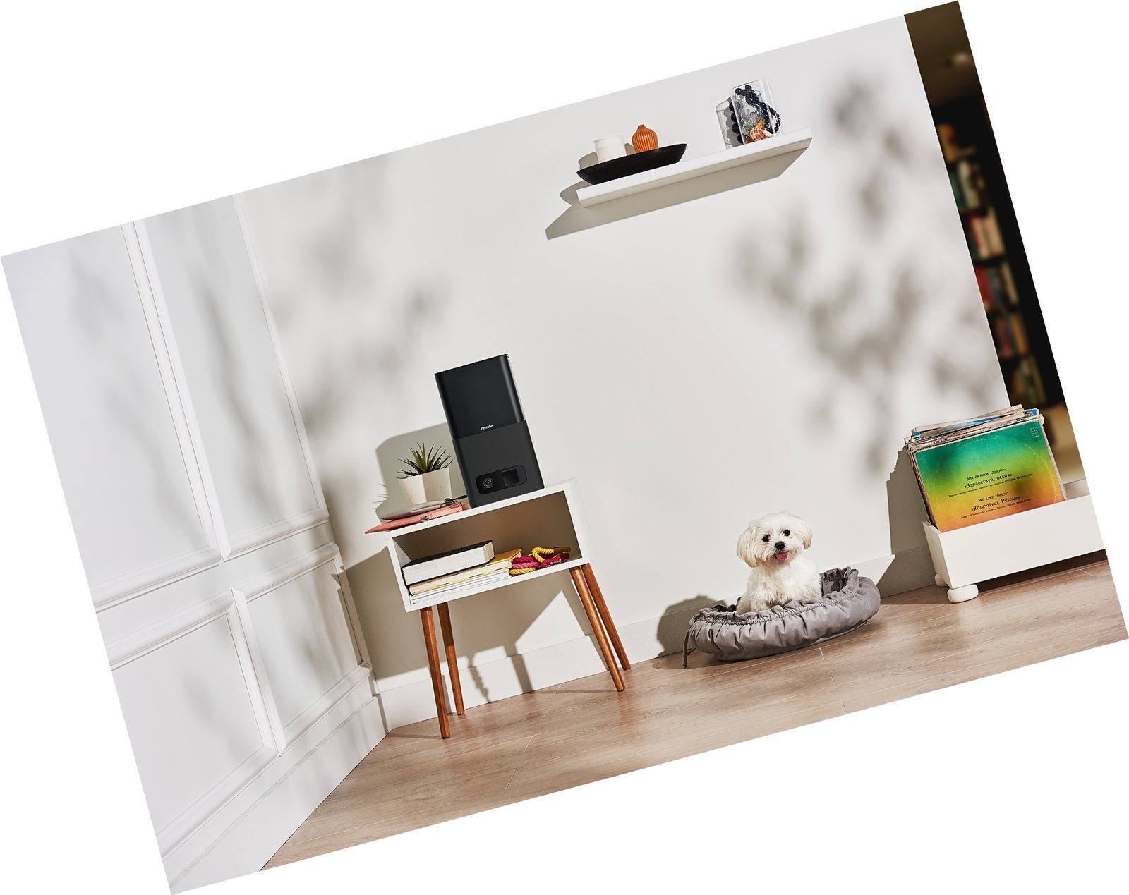 Indoor Pet Camera with Night Vision and Two-Way Audio U472447