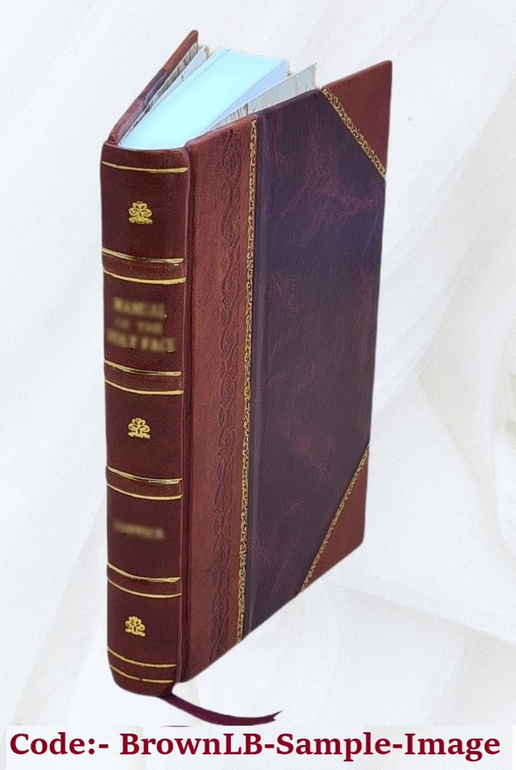 Leather Bound Book T5544