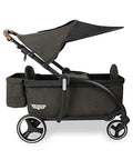 Luxury Stroller Wagon for 2 with Removable Canopy W728