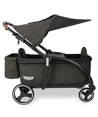 Luxury Stroller Wagon for 2 with Removable Canopy W728