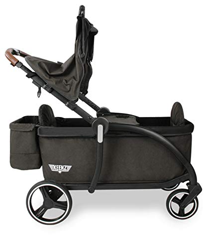 Luxury Stroller Wagon for 2 with Removable Canopy W728