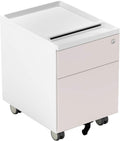 2 Drawer Metal File Cabinet with Lock and Casters B2418