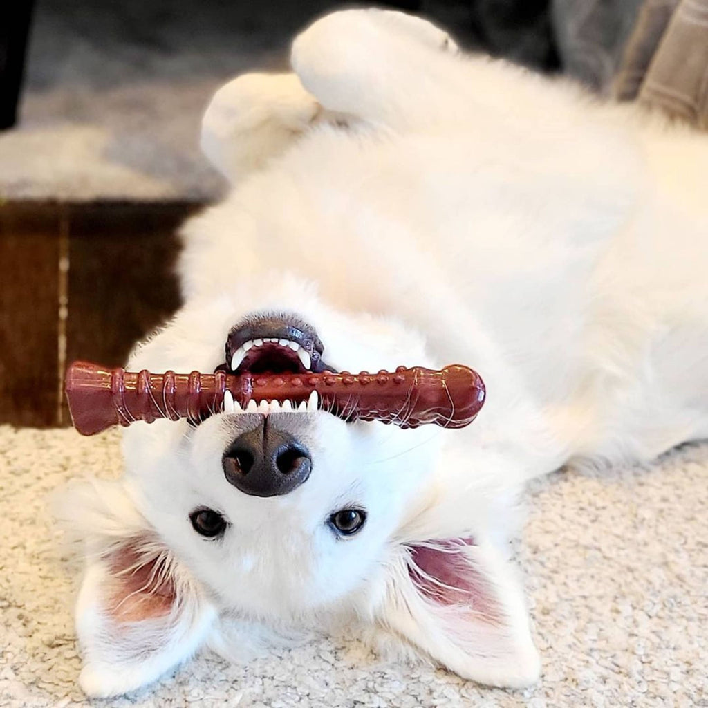 Beef Jerky X-Large Dog Chew Toy O448