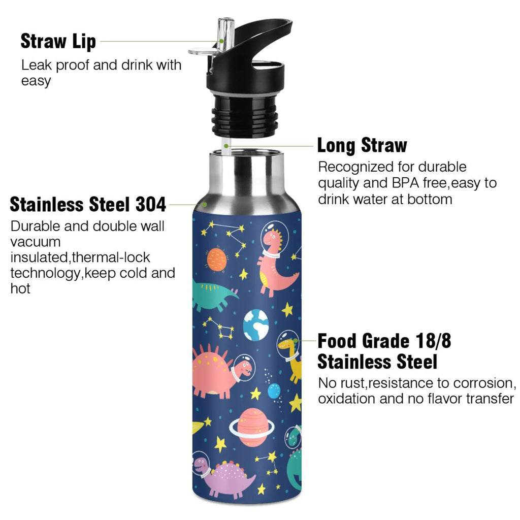 Stainless Steel Insulated Water Bottle with Straw Lid M857940