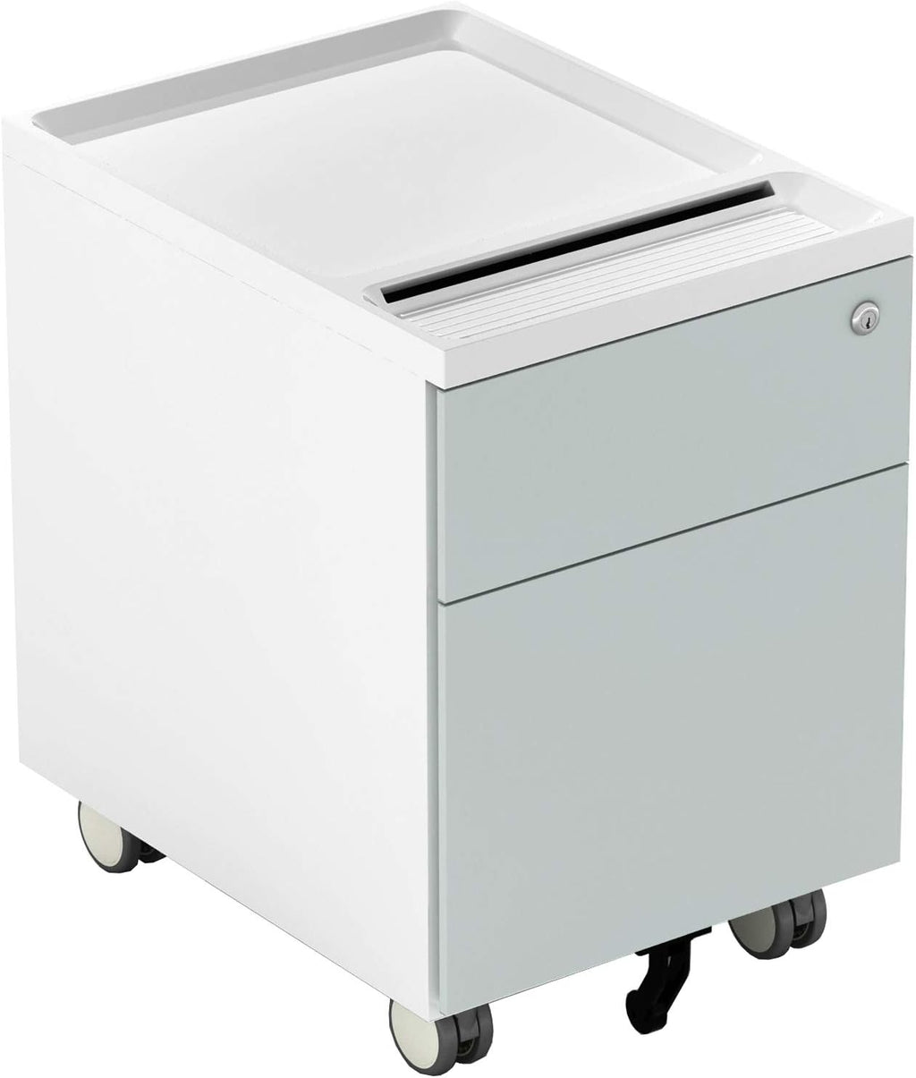 2 Drawer Metal File Cabinet with Lock and Casters B2418