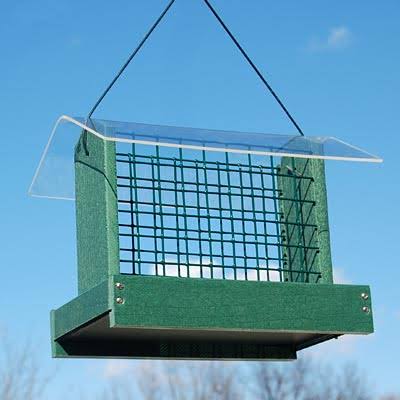 Green Peanut or Large Suet Cake Feeder V910