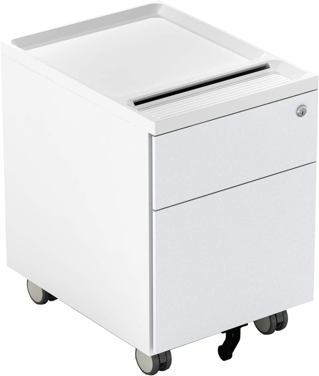 2 Drawer Metal File Cabinet with Lock and Casters B2418