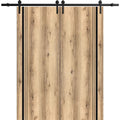 Double Barn Door 36 x 80 inches with Frosted Glass O54099