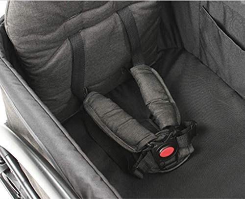 Luxury Stroller Wagon for 2 with Removable Canopy W728