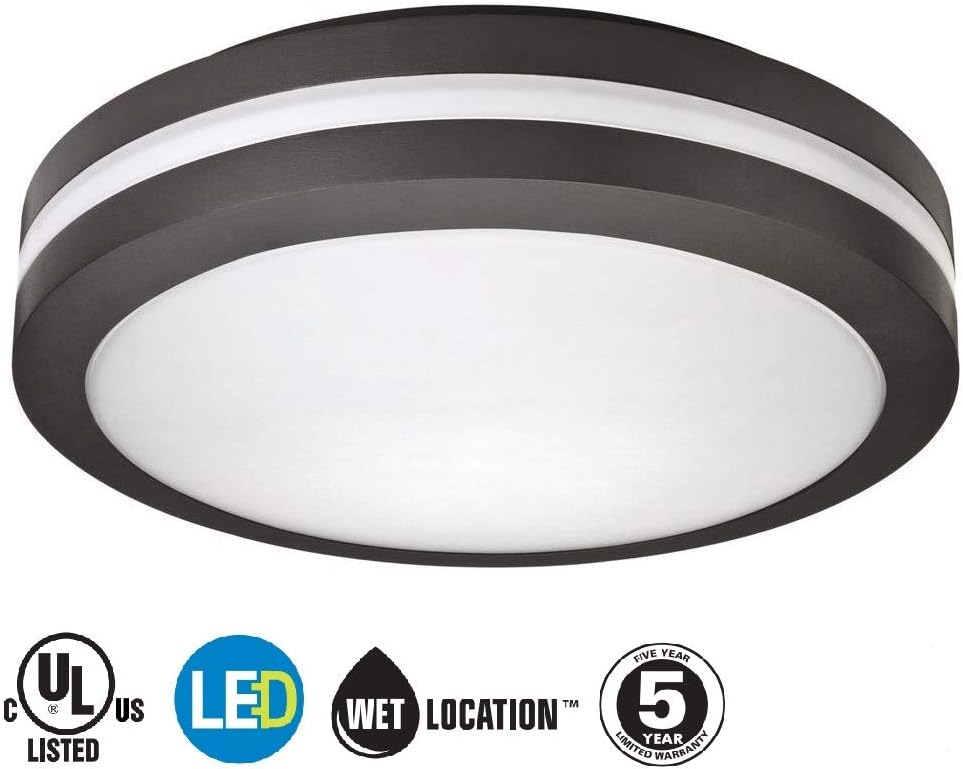 Black Bronze Outdoor LED Ceiling Light Fixture D722