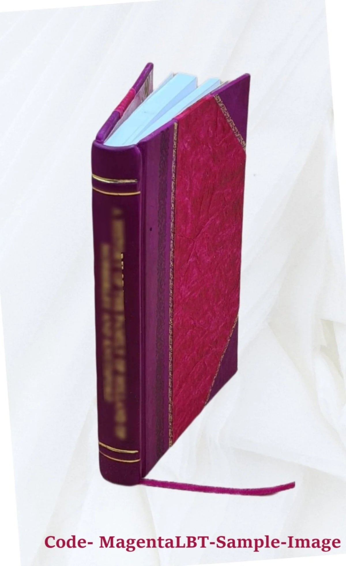Leather Bound Book L5896
