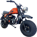 200cc Mini Trail Bike with Automatic Transmission and Pull Start Y435324