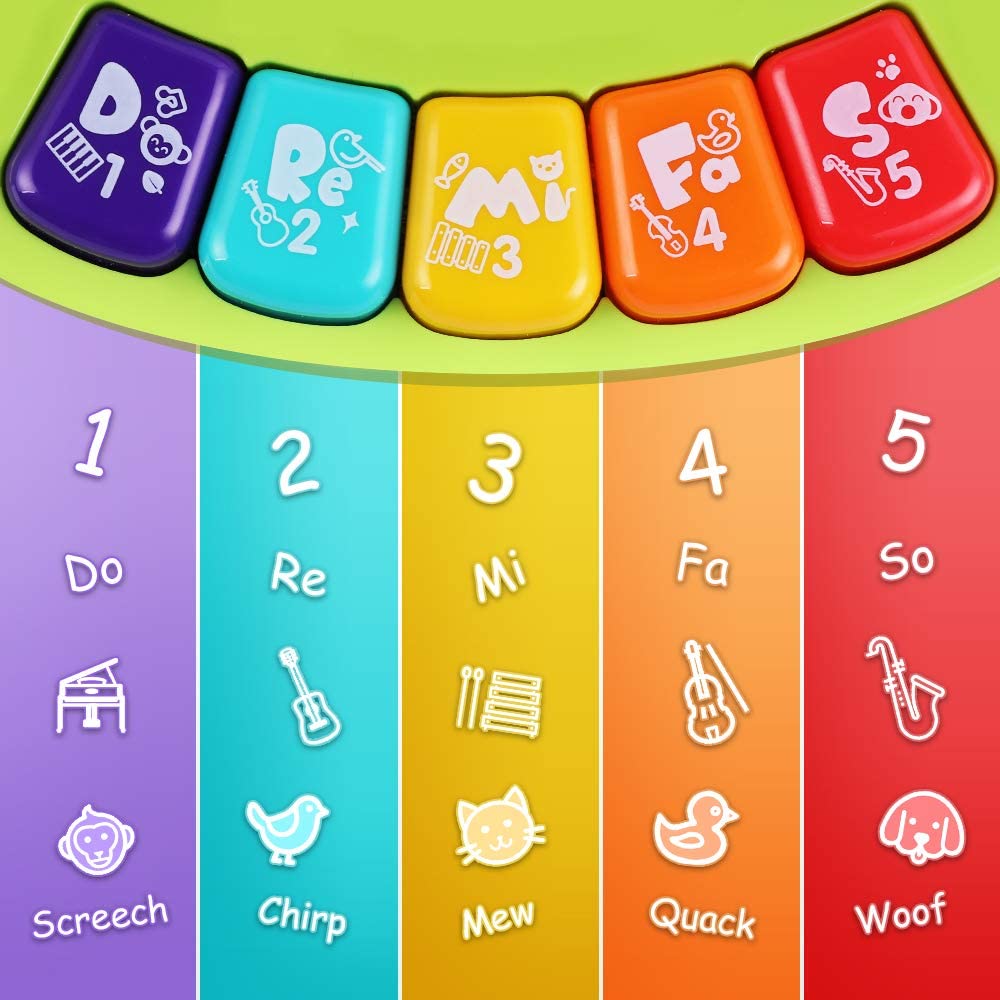 Musical Piano Keyboard Sensory Toy for Toddlers Q1921