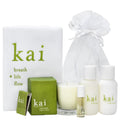 Gift Bag Z73400