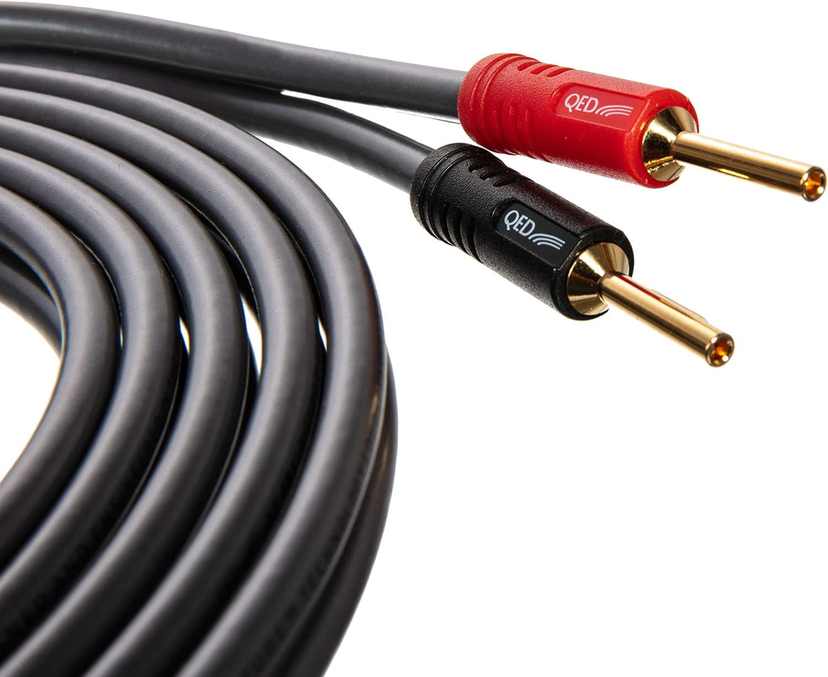 Speaker Cables (16.4 ft) I618