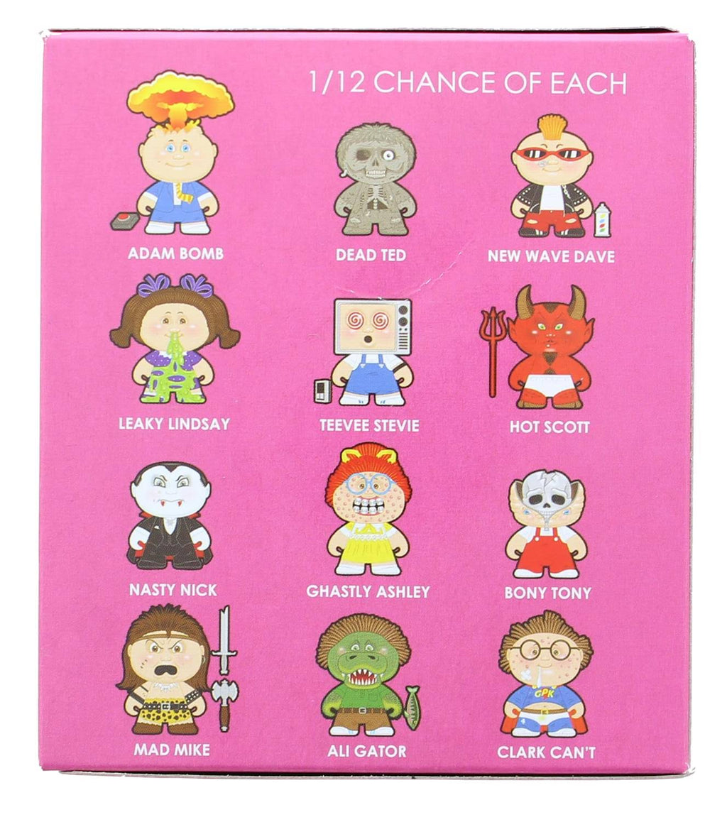 Vinyl Mystery Mini-Figures Case of 12 S579