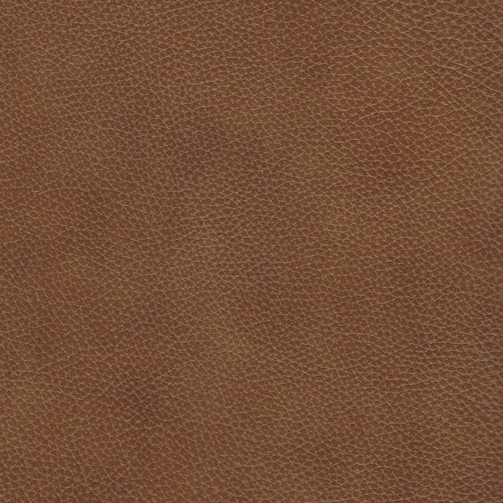 Camel Leather Power Reclining Armchair S312534