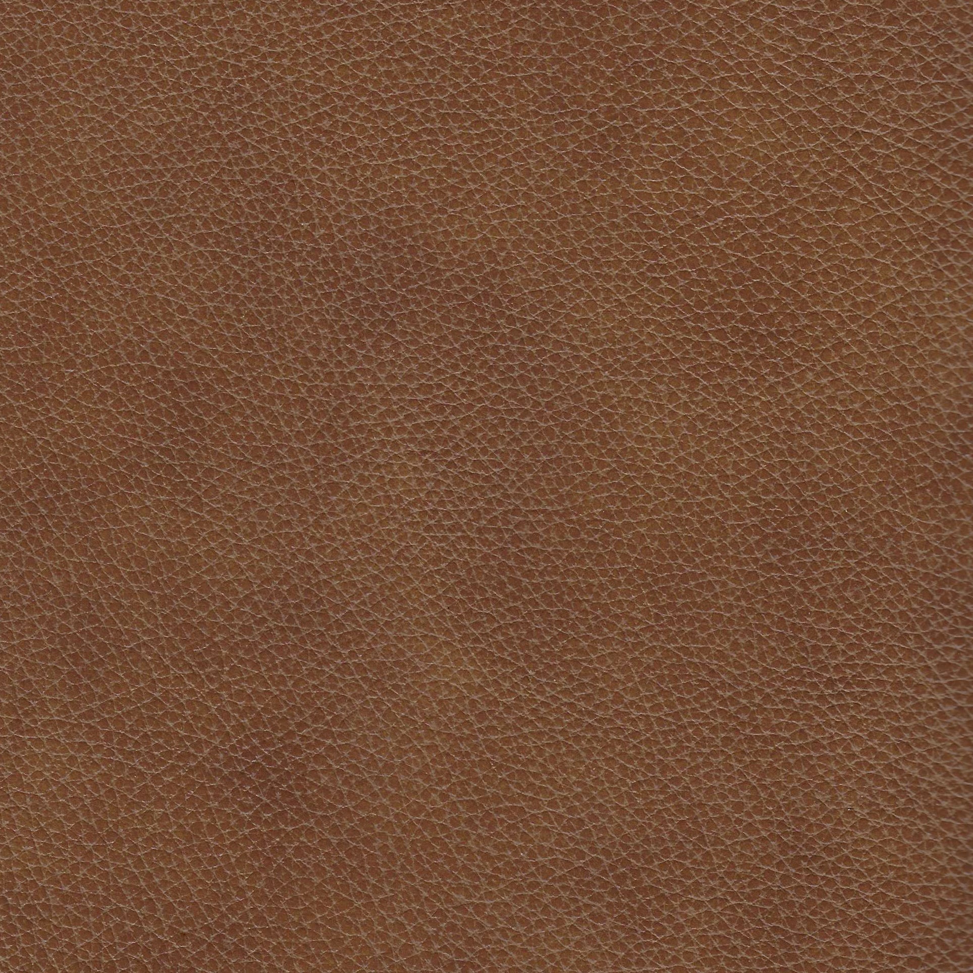 Camel Leather Power Reclining Armchair S312534
