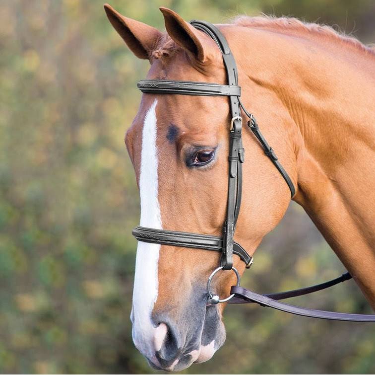 Black Full Bridle Y43656