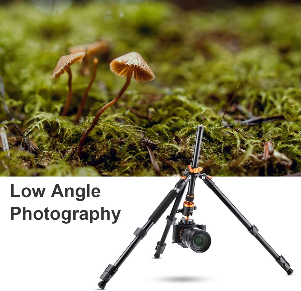 62'' Aluminum Tripod with 360 Panorama Ball Head X148
