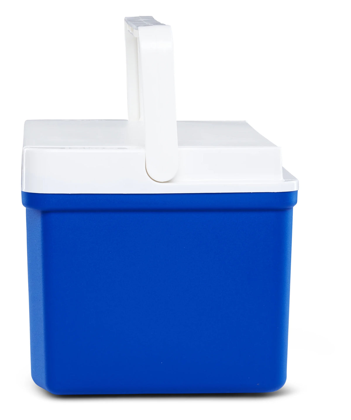 9 Qt Cooler D256656