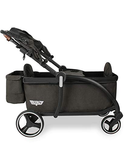 Luxury Stroller Wagon for 2 with Removable Canopy W728