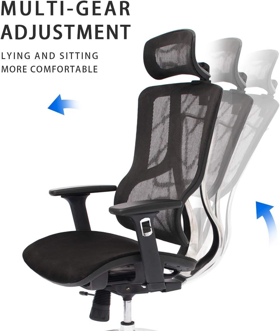 Black Ergonomic Mesh High Back Office Chair with Adjustable Headrest and Armrest D9381