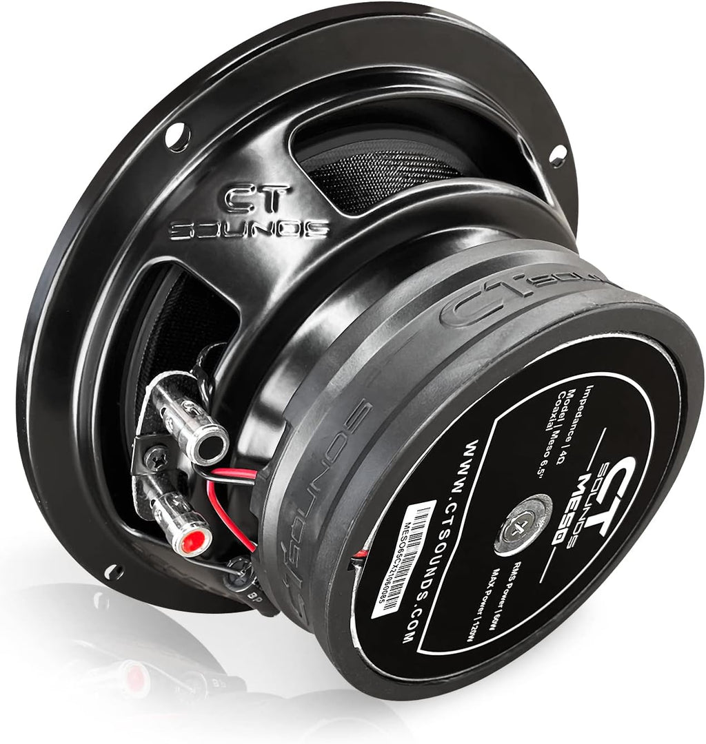 300 Watt 2-Way Coaxial Car Speakers L96828
