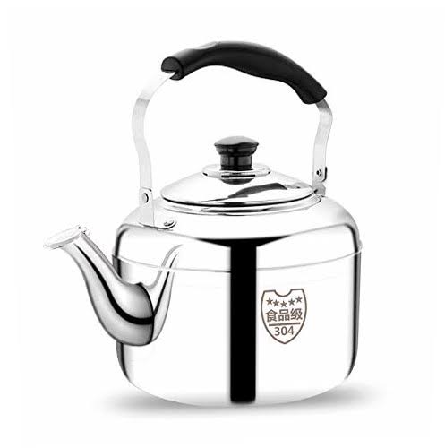 304 Stainless Steel Whistle Kettle 5L D535
