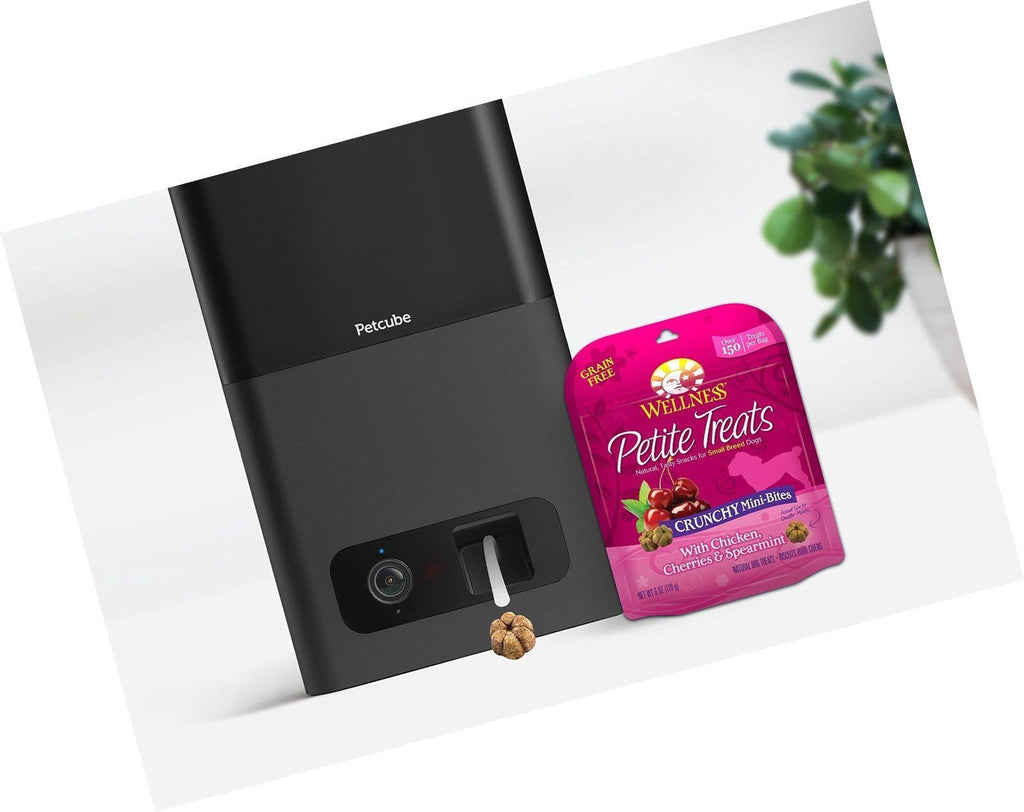 Indoor Pet Camera with Night Vision and Two-Way Audio U472447