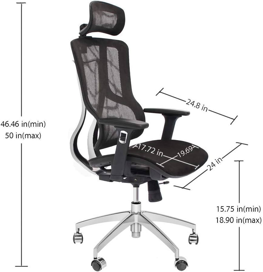 Black Ergonomic Mesh High Back Office Chair with Adjustable Headrest and Armrest D9381