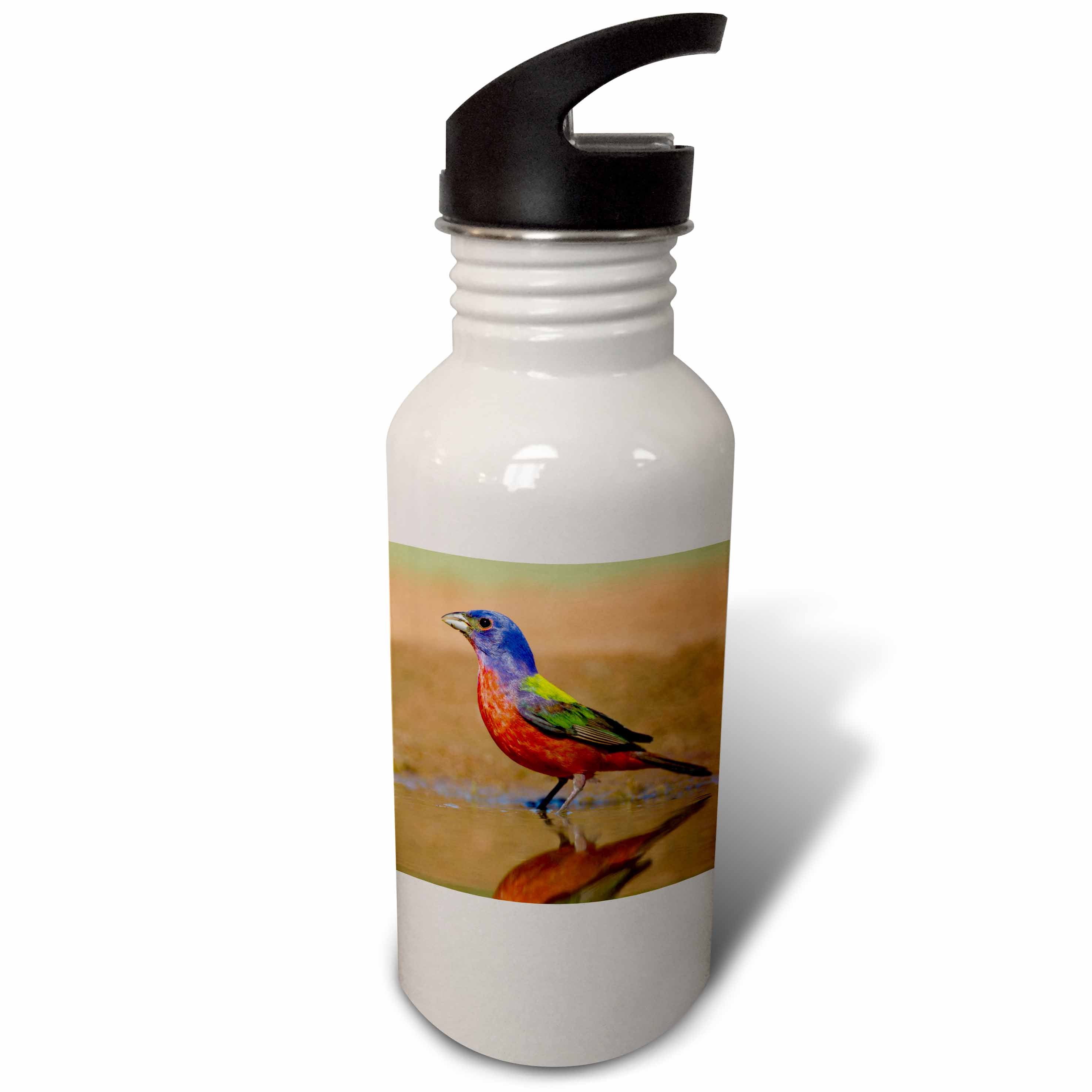 21 oz Sports Water Bottle E8440