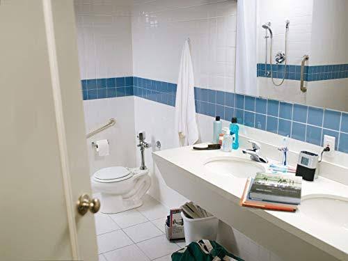 Closet Flush Valve O956009