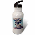 21 oz Sports Water Bottle Q6233