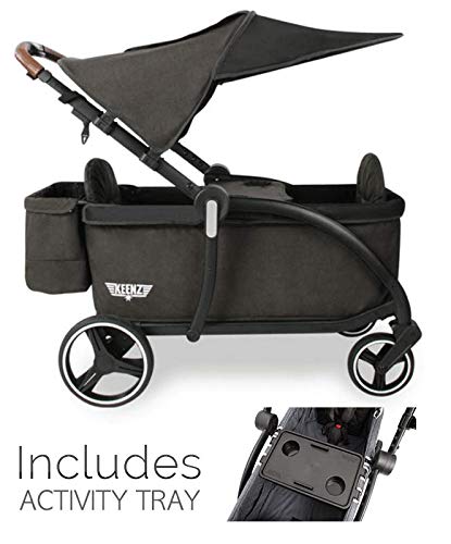 Luxury Stroller Wagon for 2 with Removable Canopy W728