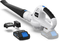 Cordless 20V MAX Lithium Battery Electric Leaf Blower Light Duty 150 MPH 2.0 Ah Battery & Charger Included Pack of 2 O570033