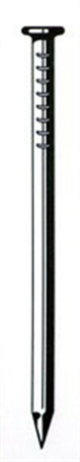50 lb Bright Smooth Shank Common Nail Q149422