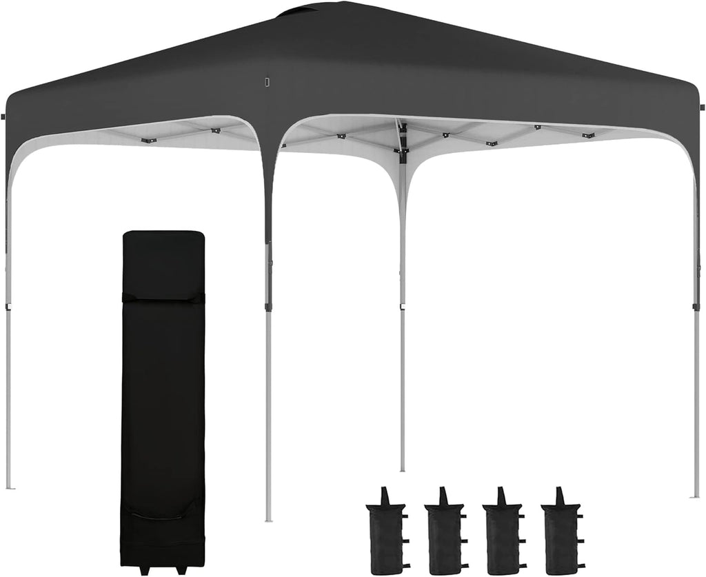 10' x 10' Pop Up Canopy Tent with Carry Bag and 4 Leg Weight Bags M62255