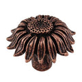 Antique Copper Novelty Knob W4819