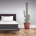 Twin Hybrid Mattress with Encased Coil and Memory Foam Z711978