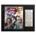 NFL San Francisco 49ers Career Stat Plaque X821321