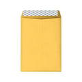 9 x 12 Brown Kraft Catalog Envelopes, 250/Box C3690