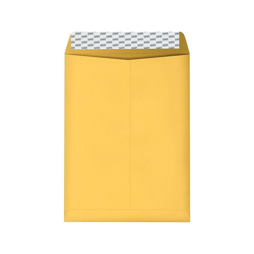 9 x 12 Brown Kraft Catalog Envelopes, 250/Box C3690