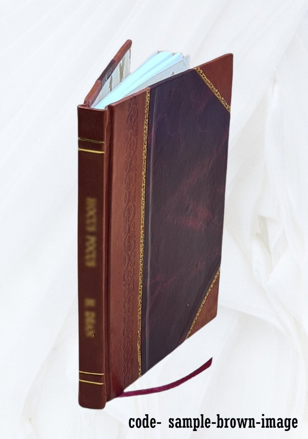 Leather Bound Book L5896