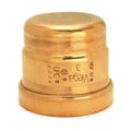2 1/2 in Copper Cap G618