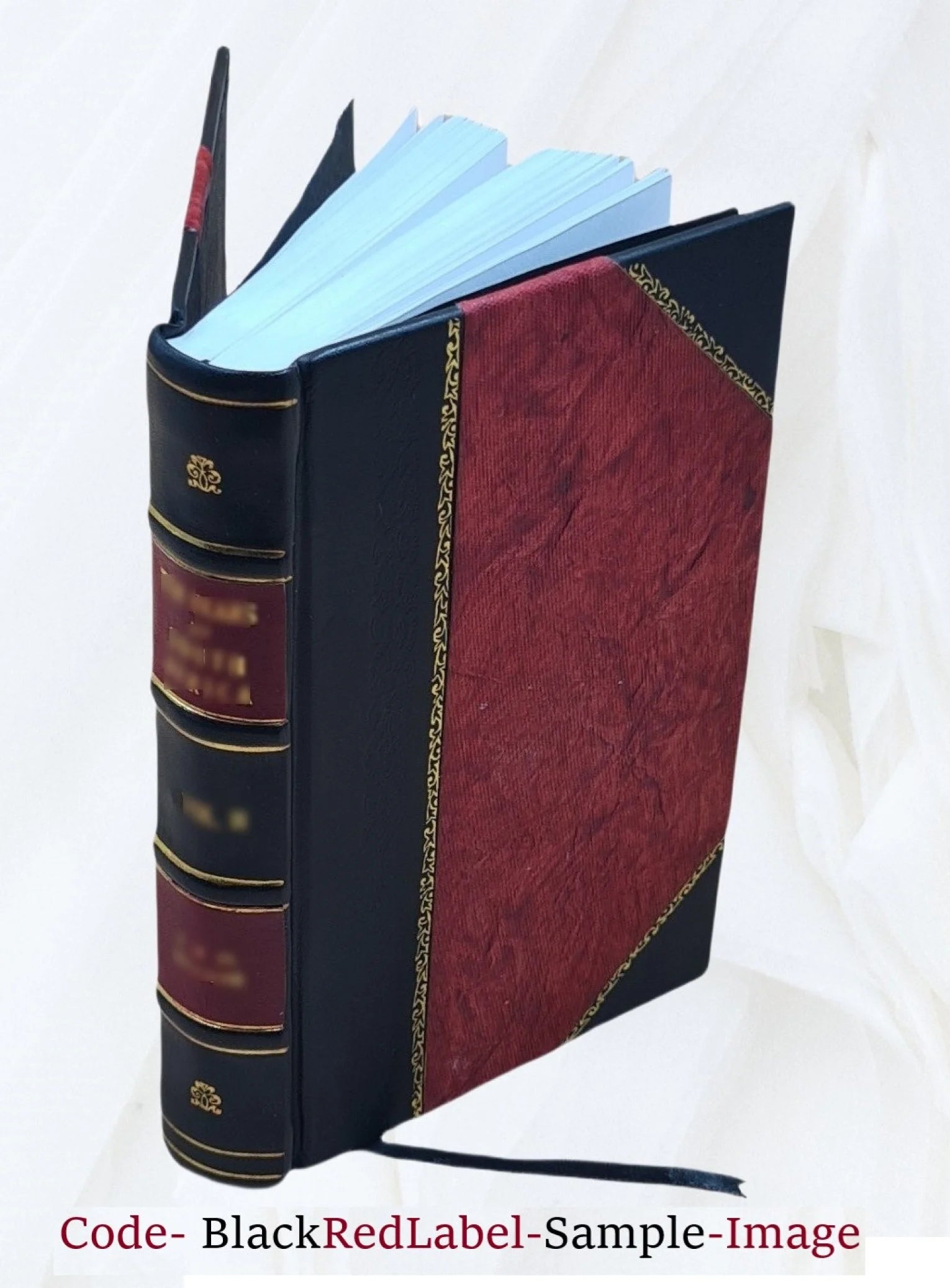 Leather Bound Book T5544
